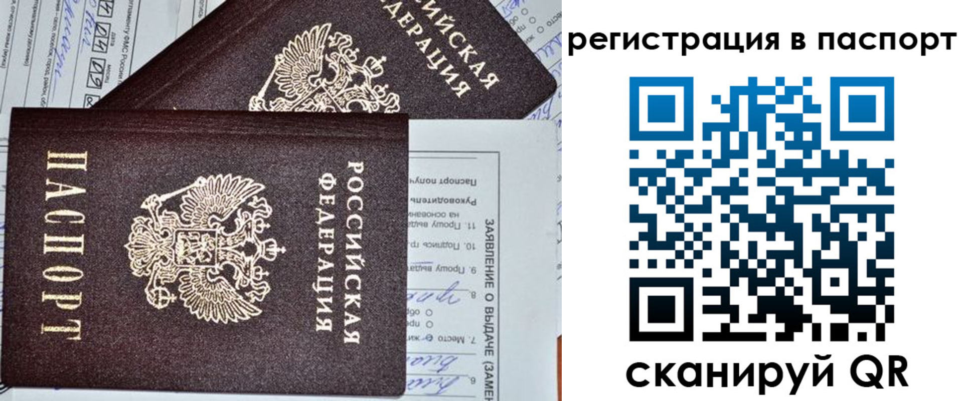 прописка законно в Белово